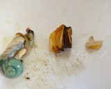 鳴門の海の幸･わかめとさざえカレー作り方3写真