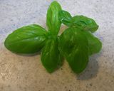 甘酸っぱくて可愛い✿トマトdeマリネ✿作り方6写真