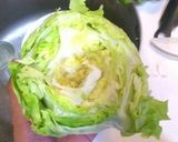 綺麗にレタスの葉を剥がす方法作り方1写真
