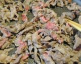 トマトで食べる！デミなし爽味ハヤシライス作り方11写真