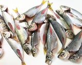 酸っぱくない小鯵(豆あじ)の南蛮漬け作り方5写真
