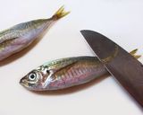 私流・小あじ(豆あじ)の下処理・さばき方作り方2写真