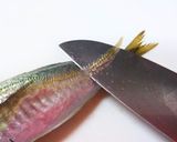 私流・小あじ(豆あじ)の下処理・さばき方作り方3写真