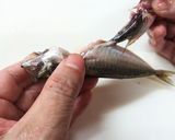 私流・小あじ(豆あじ)の下処理・さばき方作り方8写真