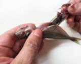 私流・小あじ(豆あじ)の下処理・さばき方作り方7写真