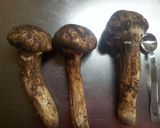 松茸の丸ごとバター焼き作り方1写真