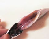 私流・小あじ(豆あじ)の下処理・さばき方作り方18写真