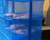 魚(イサキ)の干物作り方5写真