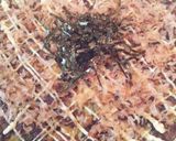 オクラと長芋のふわトロお好み焼き風作り方4写真