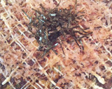 オクラと長芋のふわトロお好み焼き風作り方4写真