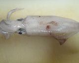 イカのからし酢味噌和え作り方1写真