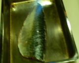 シメさば作り方5写真