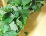 青紫蘇のジュース作り方1写真