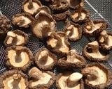 干し椎茸作り方5写真