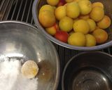 塩分8%の梅干しの作り方作り方4写真