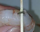 有頭エビのトマトクリームパスタ作り方11写真