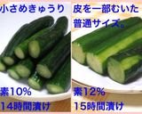 きゅうりの漬物＊昆布だしで作る浅漬けの素作り方15写真