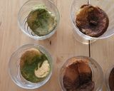 抹茶ティラミス作り方11写真