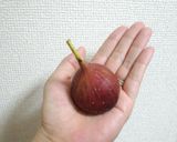 いちじく大福作り方8写真