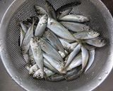 子アジの南蛮漬け作り方1写真