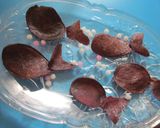ギョギョ！アイス♡作り方1写真