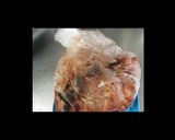 簡単♪グリルで焼くヘルシー照り焼きチキン作り方4写真