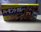 ネギウメカレー作り方1写真