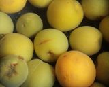 糖質制限★甘酸っぱい梅ジュース作り方2写真