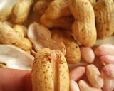 千葉県農産物inカレー♬作り方1写真