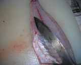 居酒屋再現!いさきの炙り ねぎポン酢作り方8写真