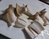 なすときのこのバタぽん炒め作り方2写真