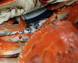 ワタリガニのトマトクリームスパゲッティ♪作り方1写真