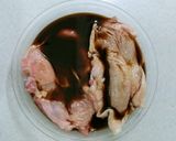 ☆レンジ料理☆蒸し鶏のレモン小ネギ添え作り方2写真