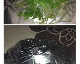 らくらくサケ(サーモン)のホイル焼き作り方3写真