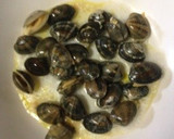オイスターソースで殻付きあさりの蒸し焼き作り方4写真