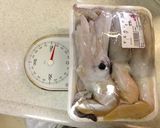 イカゲソの肝焼き作り方1写真