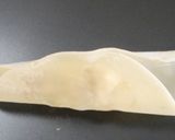 餃子の包み方作り方4写真