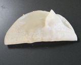 餃子の包み方作り方5写真