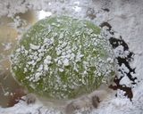 ちっちゃまっちゃ大福作り方11写真