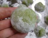 ちっちゃまっちゃ大福作り方15写真