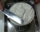 ゼラチンいらずの簡単レアチーズ作り方12写真