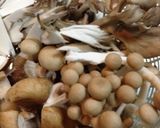根菜、きのこ入りロールキャベツのトマト煮作り方2写真