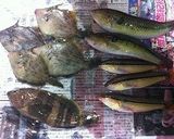白身魚のユッケ風作り方1写真