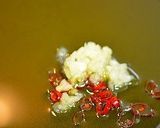✿タコとズッキーニのPペペロンチーノ風✿作り方3写真