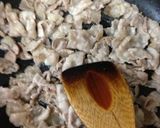 豚バラとネギの甘辛炒め作り方4写真