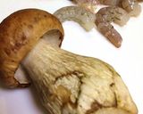 ポルチーニと淡色トマトのソース作り方1写真