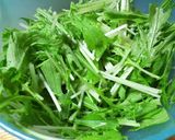 和えるだけ！水菜のパルメザンチーズサラダ作り方2写真
