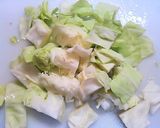 【簡単】キャベツとトマトの食べるスープ作り方1写真