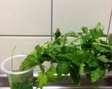 あると便利！三つ葉の保存作り方2写真