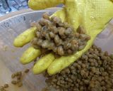 手作り赤味噌（豆味噌）作り方4写真